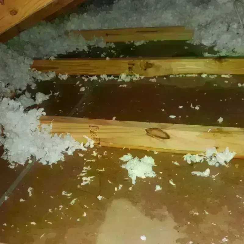 Attic Water Damage in Wilmore, KY